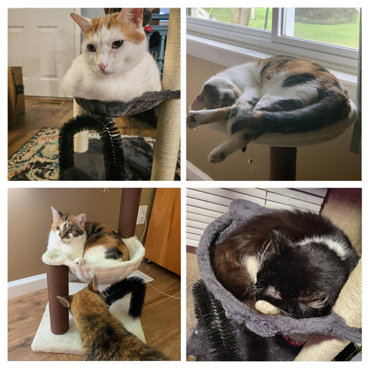 “27.8” Luxe Kattenboom met Meerdere Verdiepingen & Krabpalen”